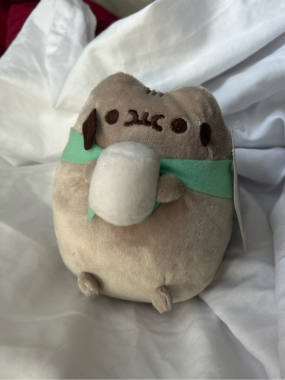 Camp Pusheen Box Exclusive (Summer 2020) plush